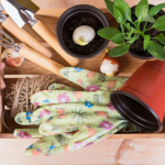 The Ultimate Guide to Eco-Friendly Gardening Tips