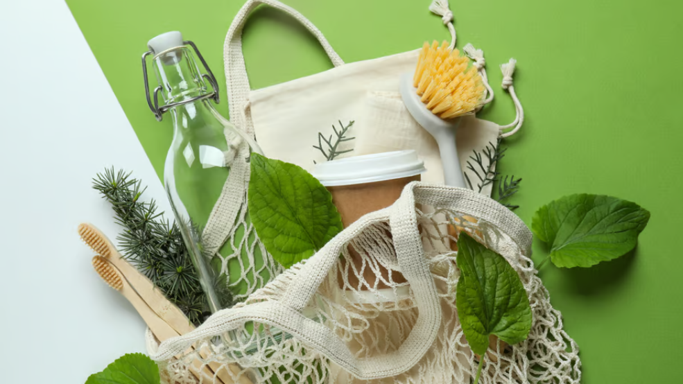 Embracing Eco-Friendly Products: A Greener Tomorrow